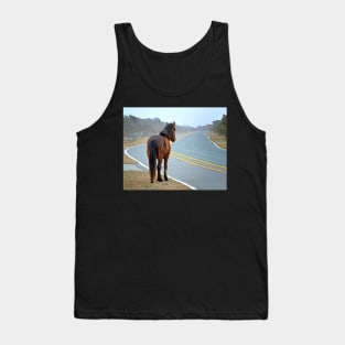 Assateague Pony Looking Down the Road Tank Top